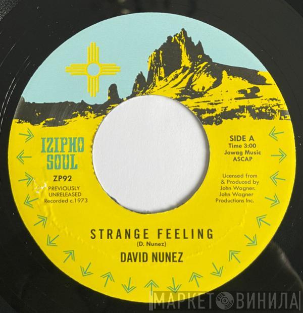 David Nunez - Strange Feeling