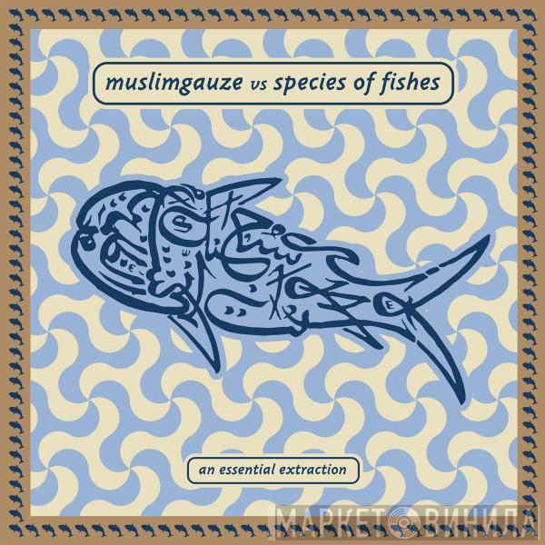 Muslimgauze, Species Of Fishes - An Essential Extraction