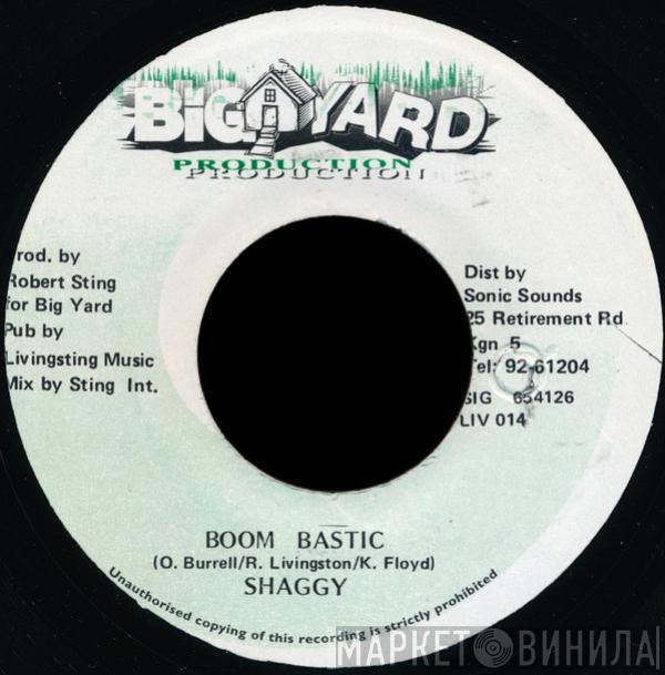 Shaggy - Boom Bastic